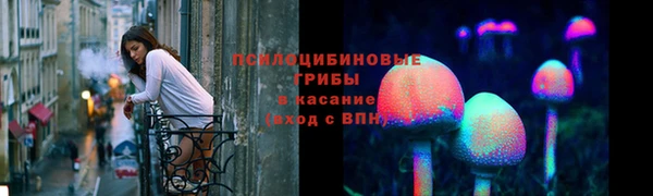 тгк Аркадак