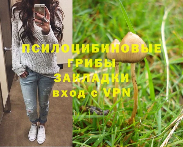 стафф Армянск