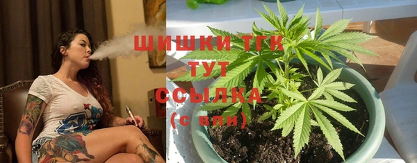 тгк Аркадак