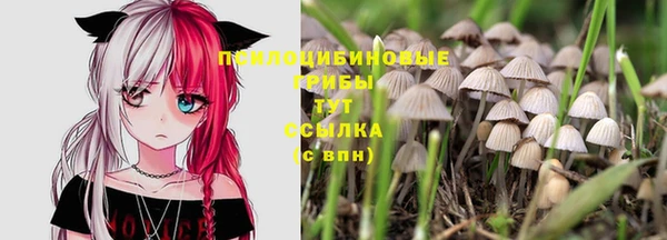 тгк Аркадак