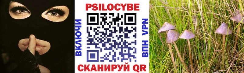 как найти закладки  Полевской  Псилоцибиновые грибы прущие грибы 